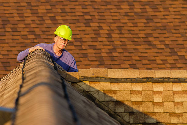 Best Roof Gutter Cleaning  in Combine, TX
